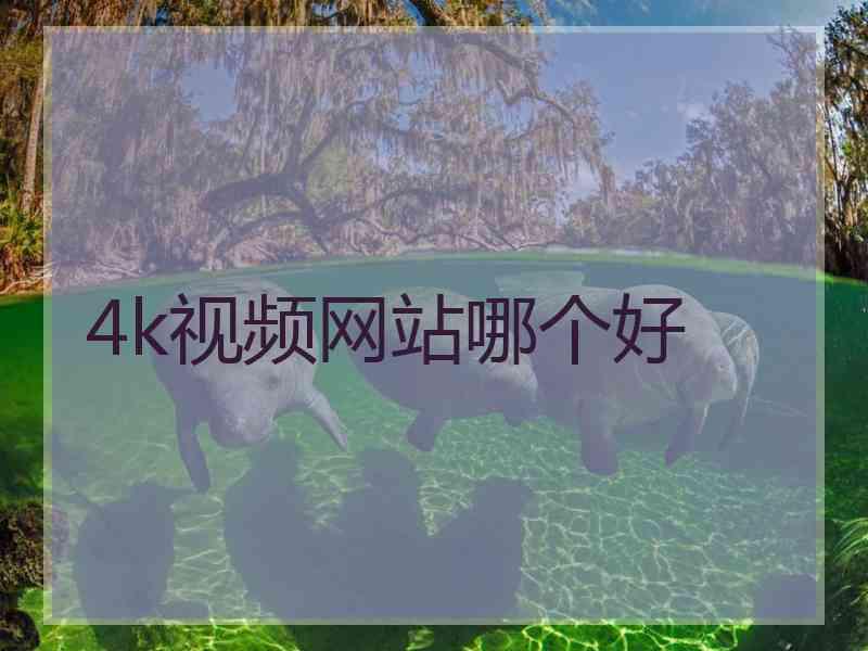 4k视频网站哪个好