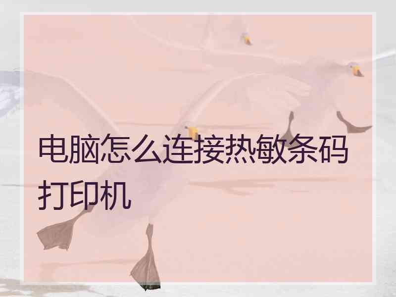 电脑怎么连接热敏条码打印机