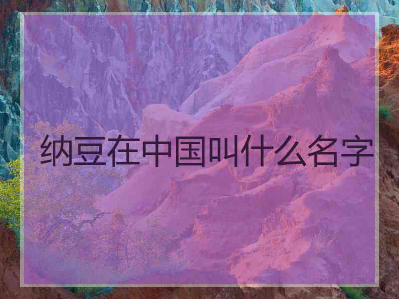 纳豆在中国叫什么名字