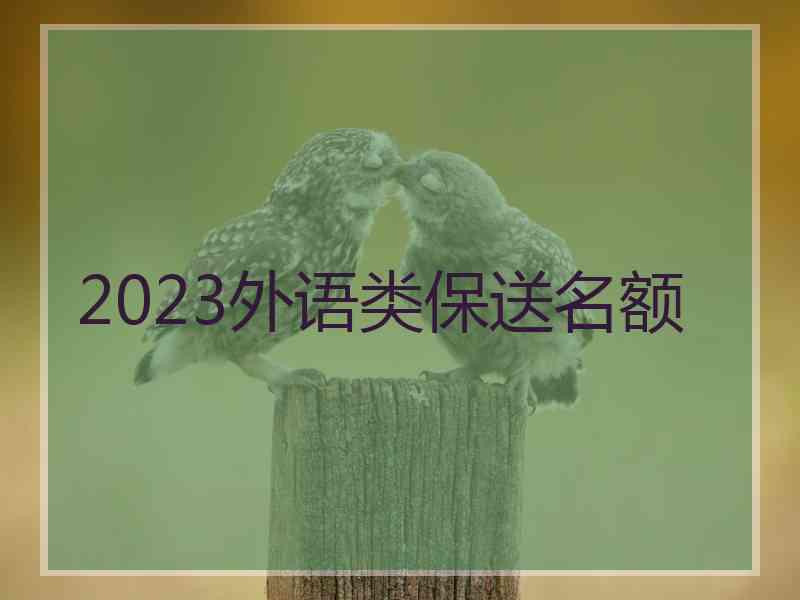 2023外语类保送名额