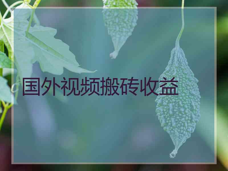 国外视频搬砖收益