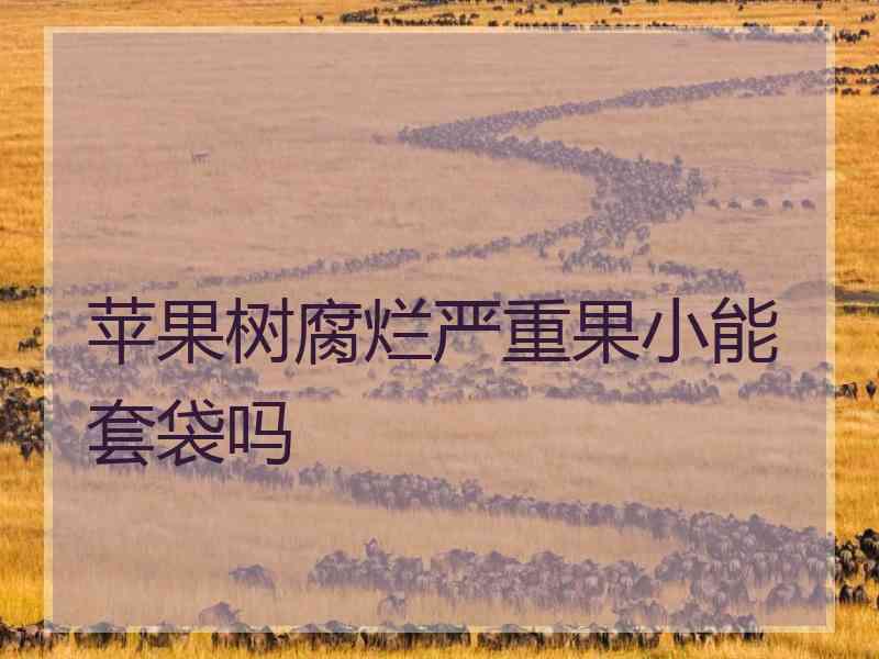 苹果树腐烂严重果小能套袋吗