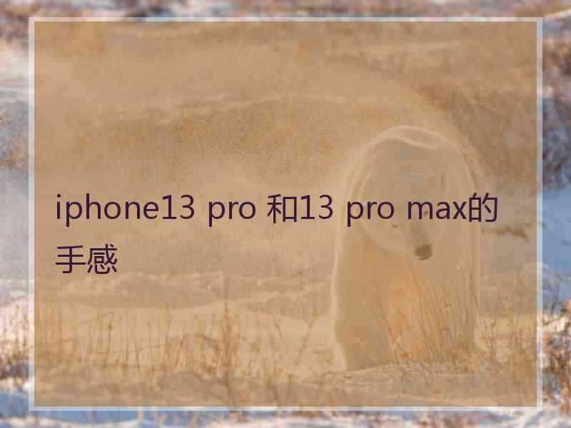 iphone13 pro 和13 pro max的手感