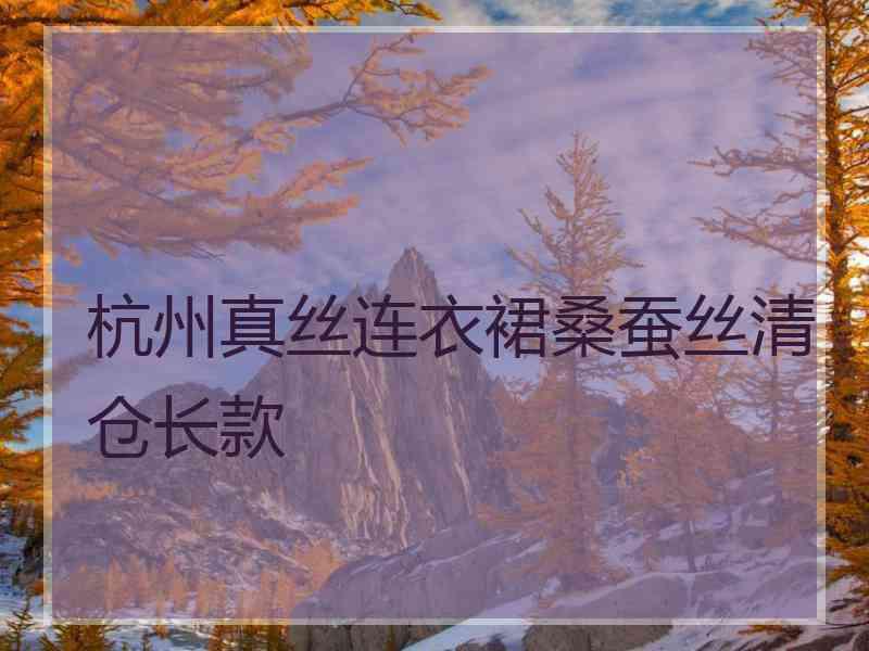 杭州真丝连衣裙桑蚕丝清仓长款