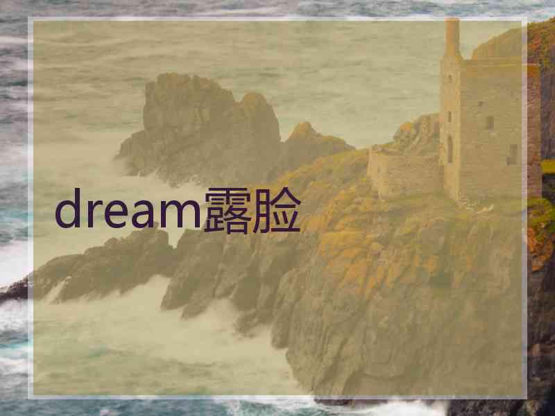 dream露脸