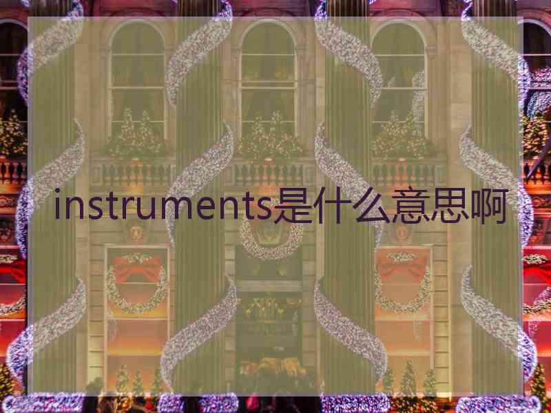 instruments是什么意思啊