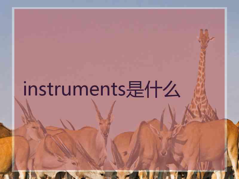 instruments是什么