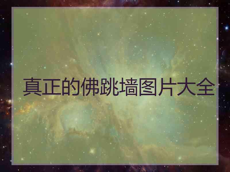 真正的佛跳墙图片大全