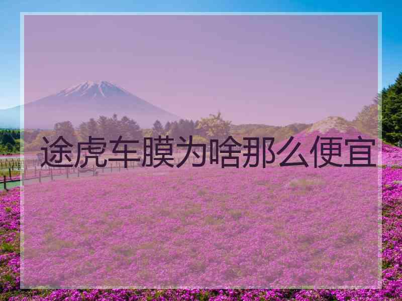 途虎车膜为啥那么便宜