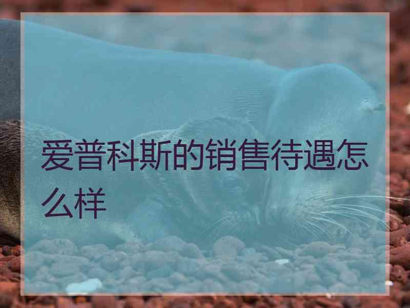 爱普科斯的销售待遇怎么样