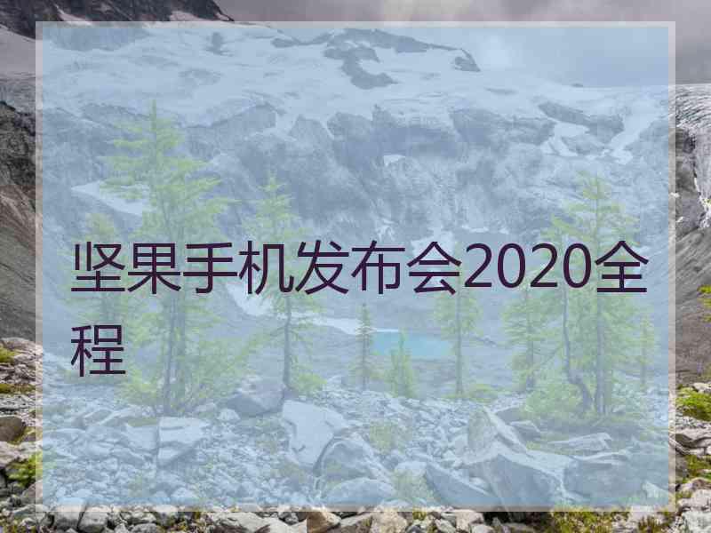 坚果手机发布会2020全程