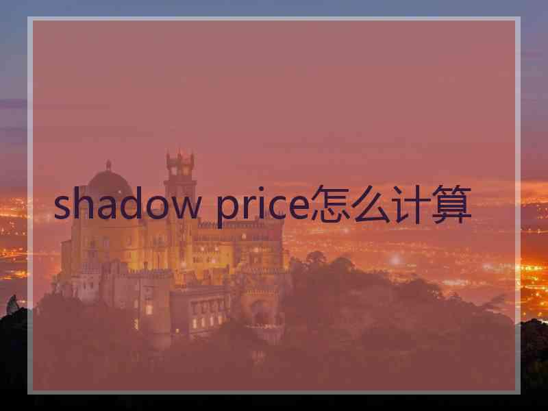 shadow price怎么计算