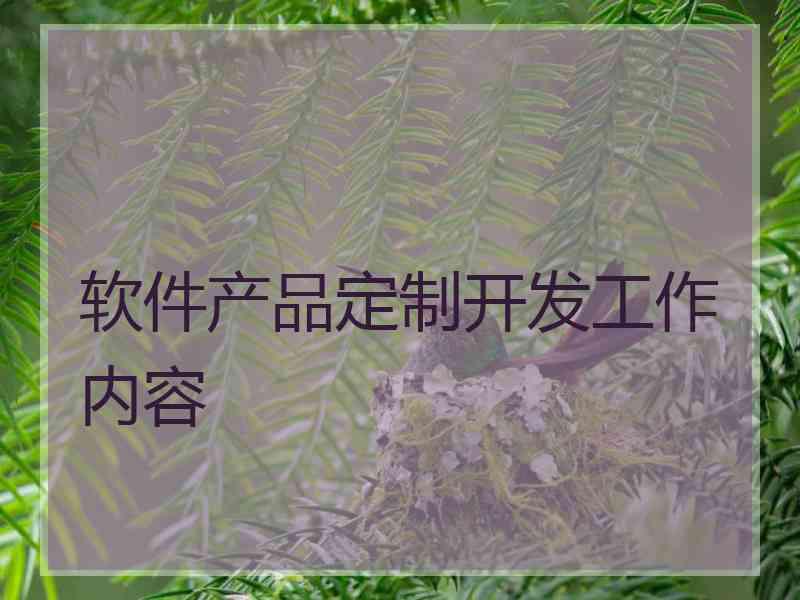 软件产品定制开发工作内容