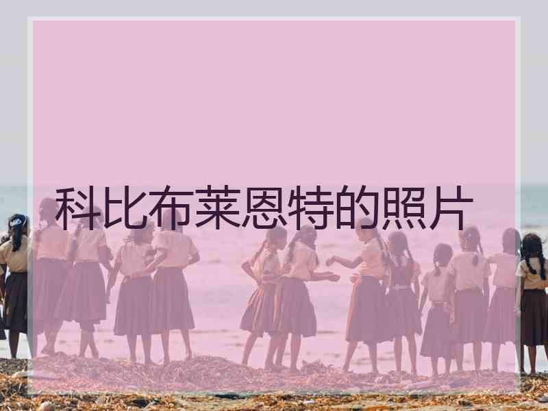 科比布莱恩特的照片