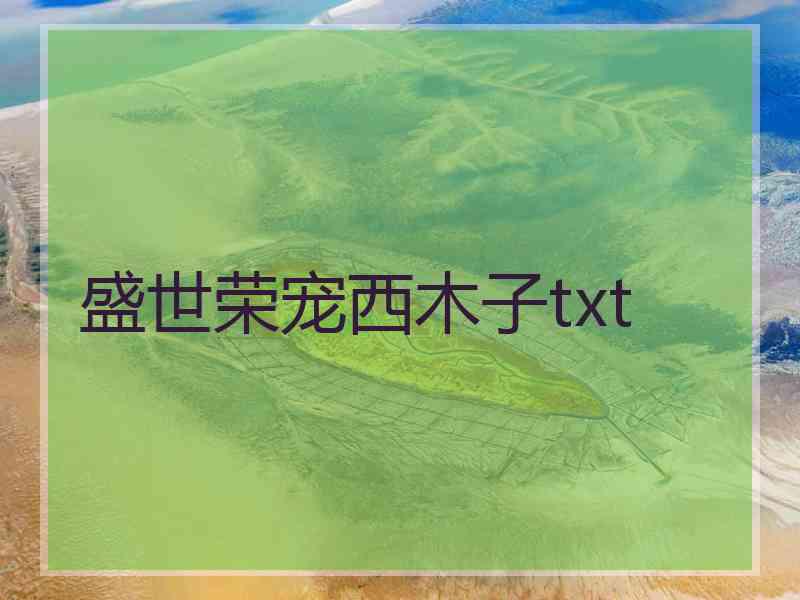 盛世荣宠西木子txt