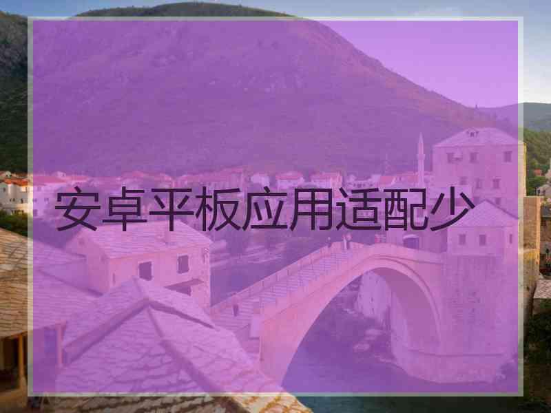 安卓平板应用适配少