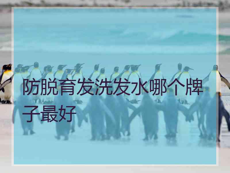 防脱育发洗发水哪个牌子最好
