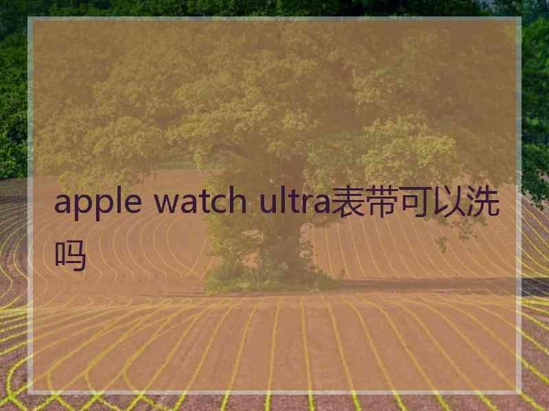 apple watch ultra表带可以洗吗