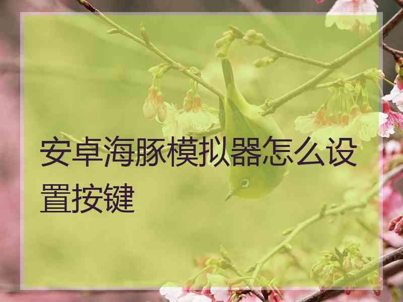 安卓海豚模拟器怎么设置按键