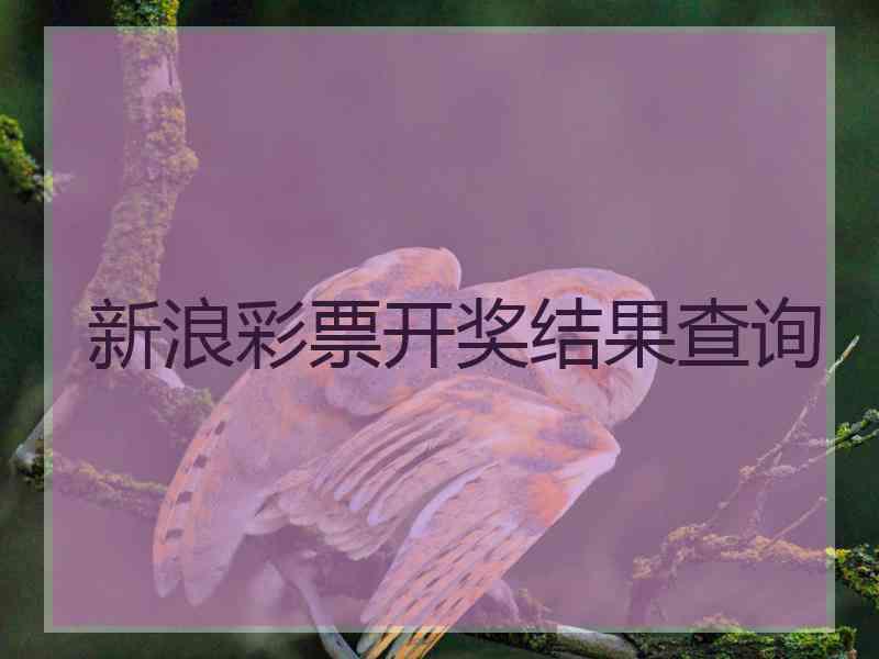 新浪彩票开奖结果查询