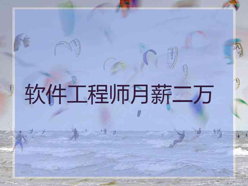 软件工程师月薪二万
