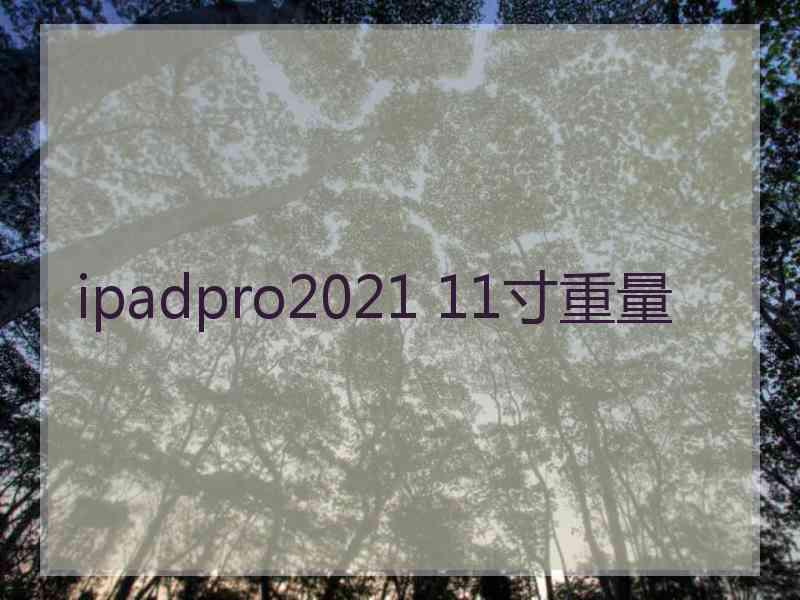 ipadpro2021 11寸重量