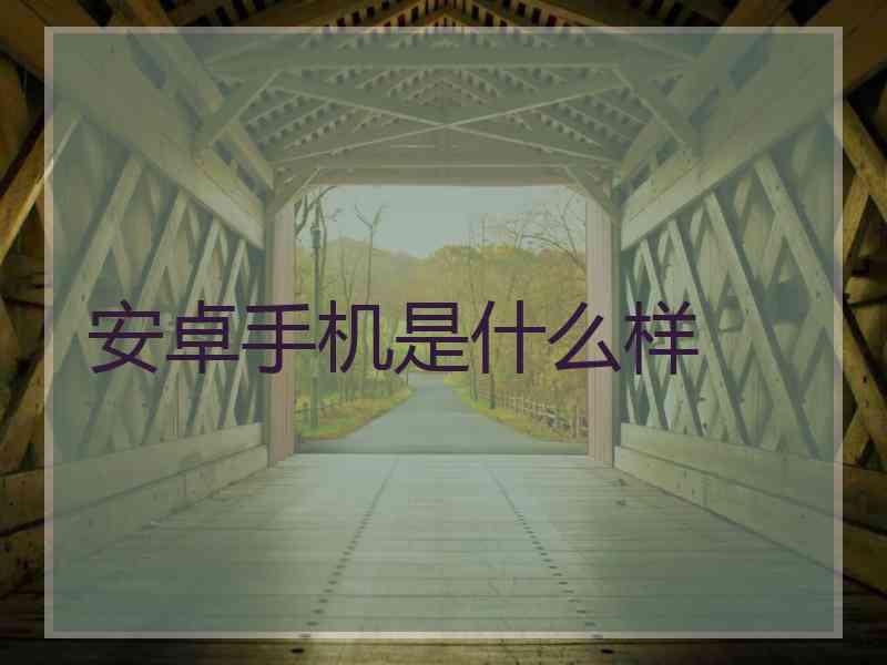 安卓手机是什么样