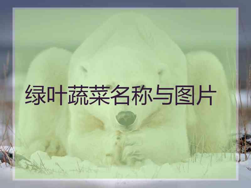 绿叶蔬菜名称与图片