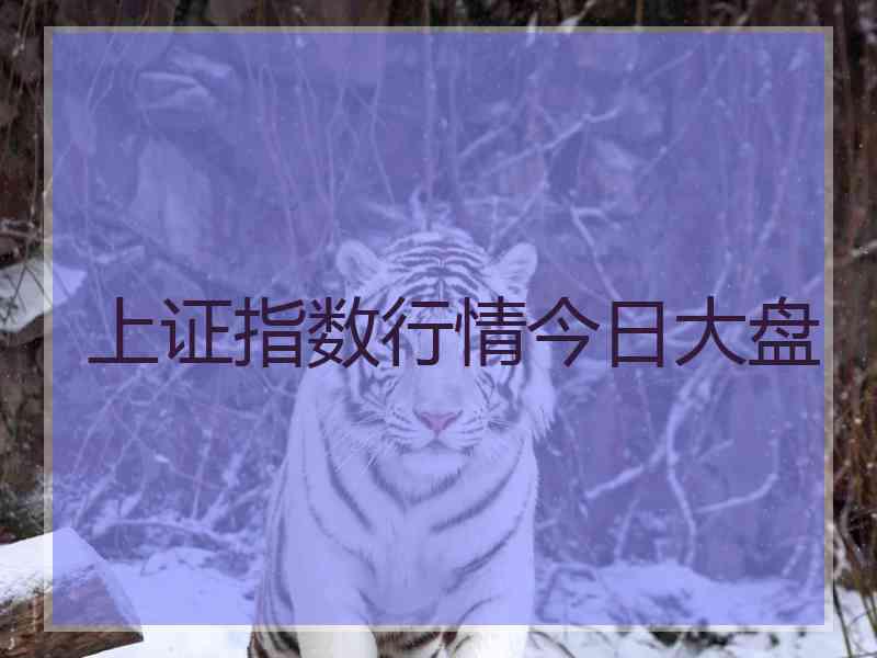 上证指数行情今日大盘