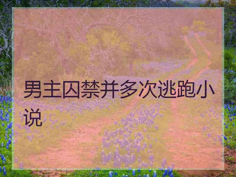 男主囚禁并多次逃跑小说
