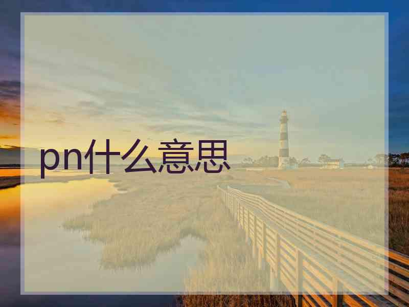pn什么意思