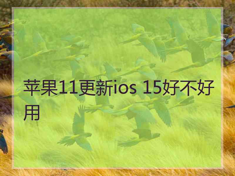 苹果11更新ios 15好不好用