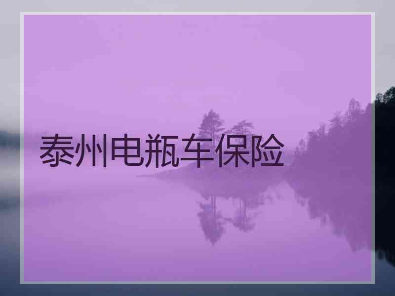 泰州电瓶车保险