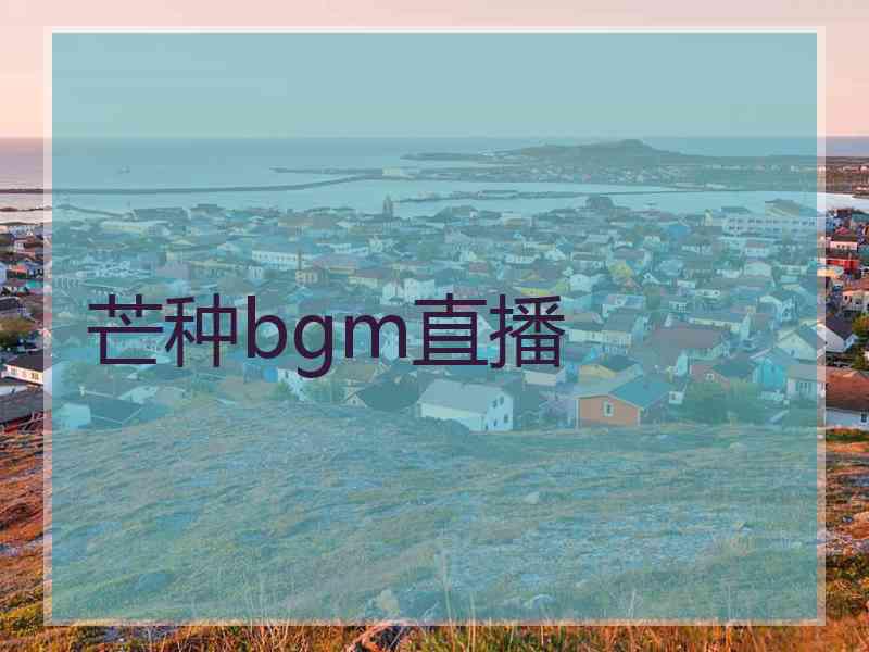 芒种bgm直播