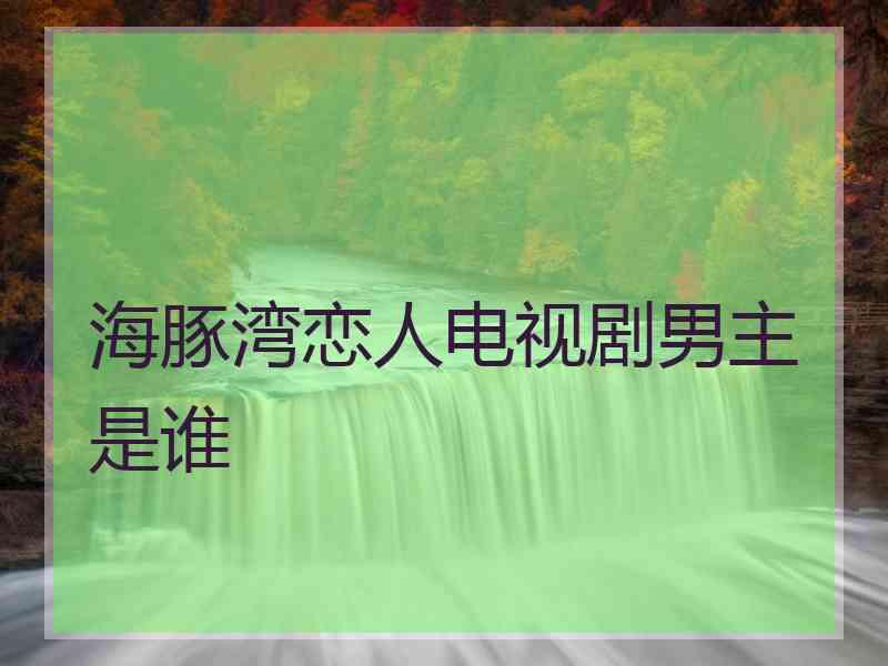 海豚湾恋人电视剧男主是谁