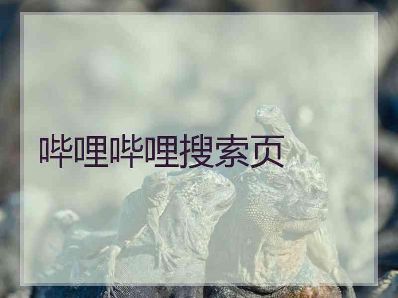 哔哩哔哩搜索页