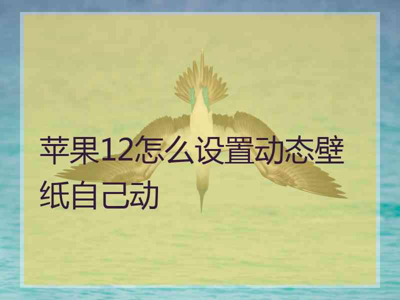 苹果12怎么设置动态壁纸自己动