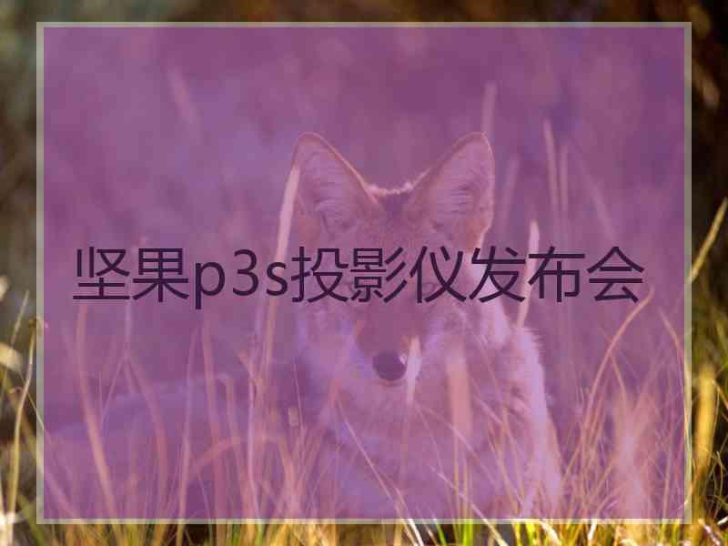 坚果p3s投影仪发布会