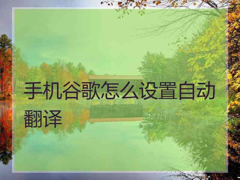 手机谷歌怎么设置自动翻译