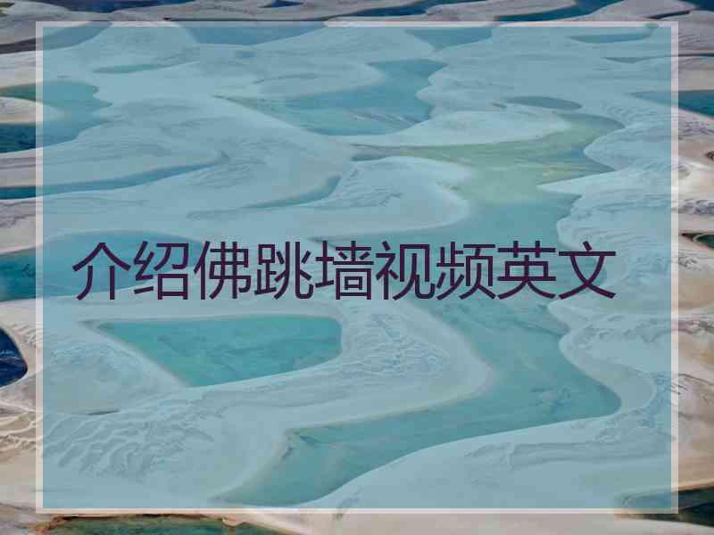 介绍佛跳墙视频英文