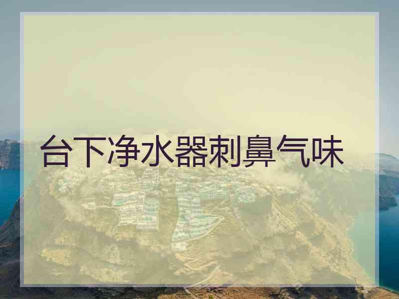 台下净水器刺鼻气味