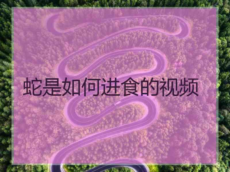 蛇是如何进食的视频