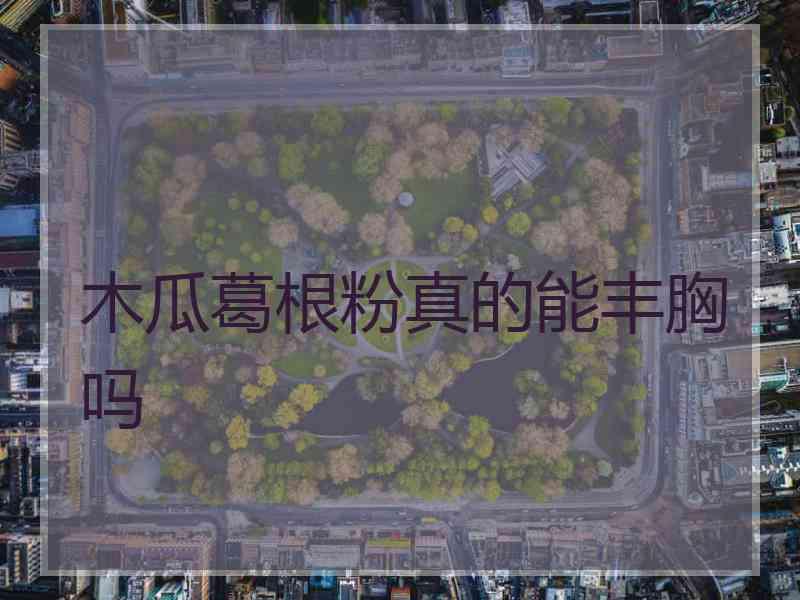 木瓜葛根粉真的能丰胸吗