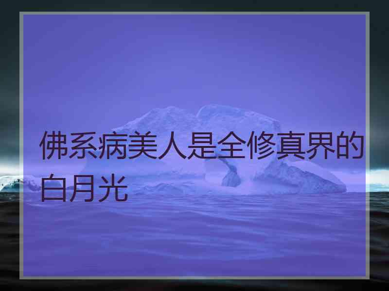 佛系病美人是全修真界的白月光