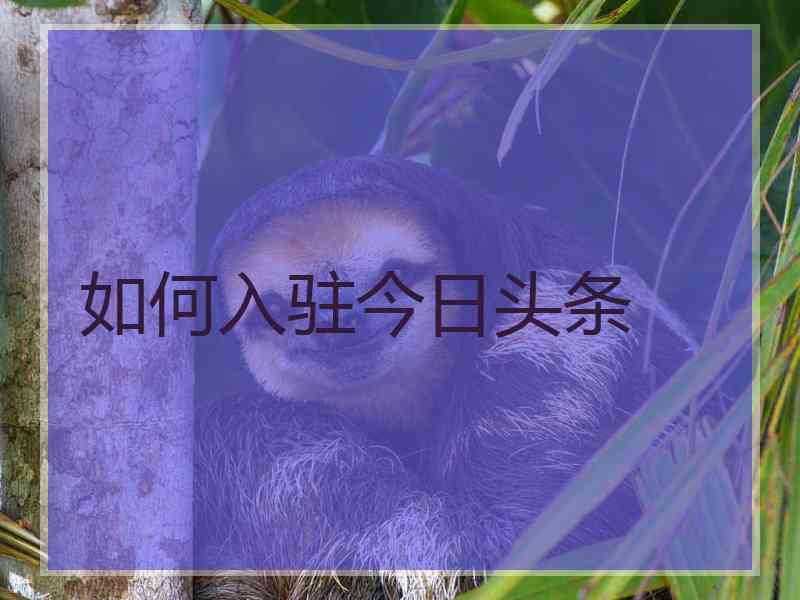 如何入驻今日头条
