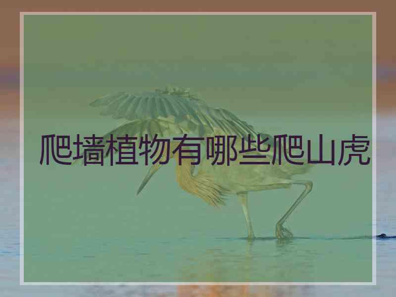 爬墙植物有哪些爬山虎