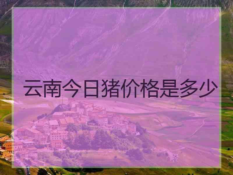 云南今日猪价格是多少