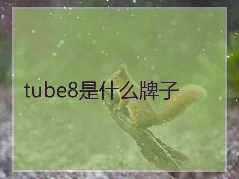 tube8是什么牌子