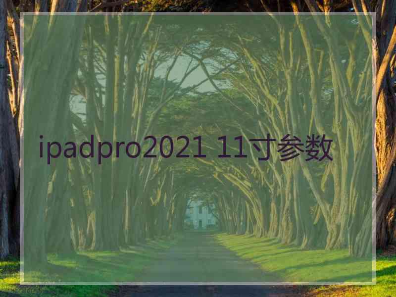 ipadpro2021 11寸参数