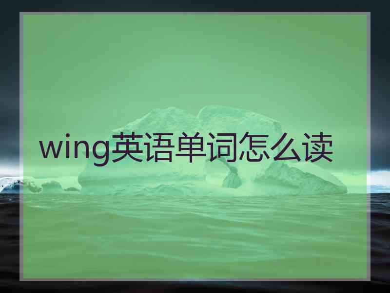 wing英语单词怎么读